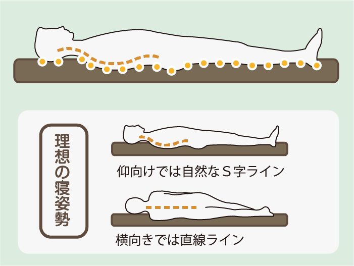 理想の寝姿勢